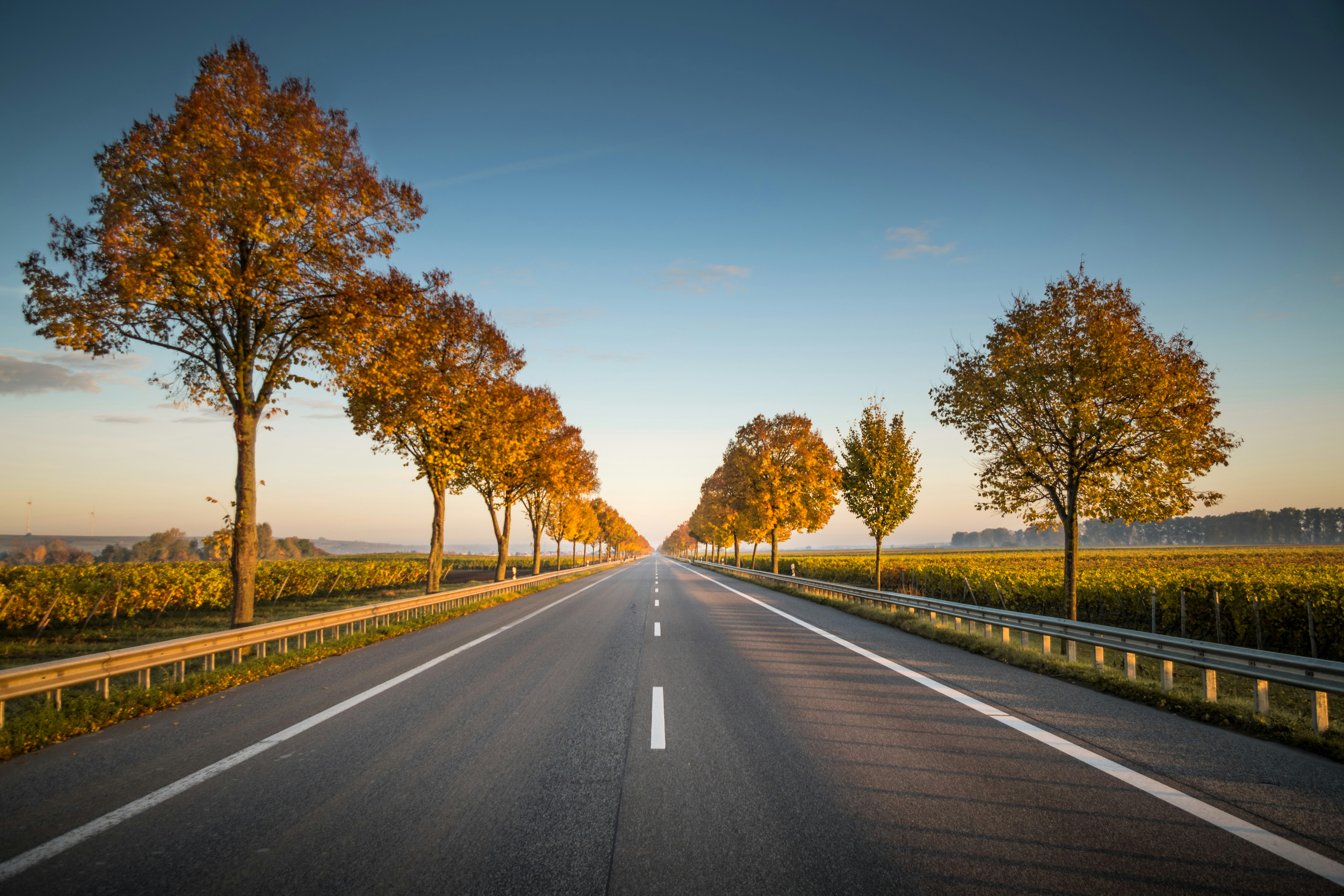 How many lines has a road?